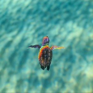 Meet your Posher, Jay